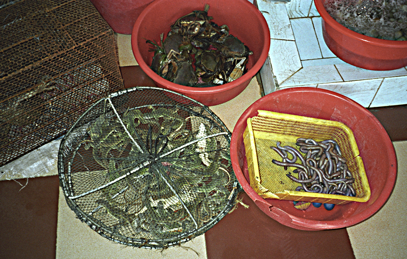 Hainan Dinner 1997
